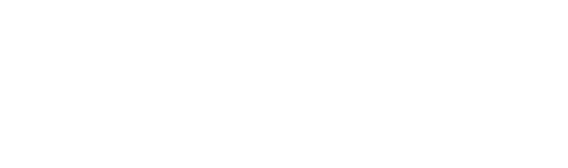fz-40