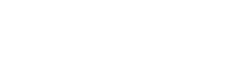 fz-56