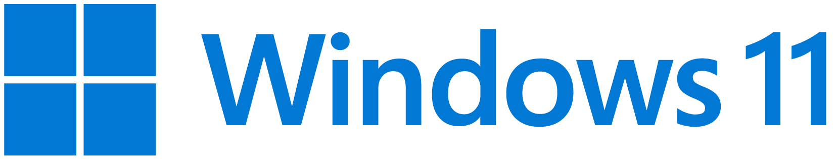WINDOWS 11