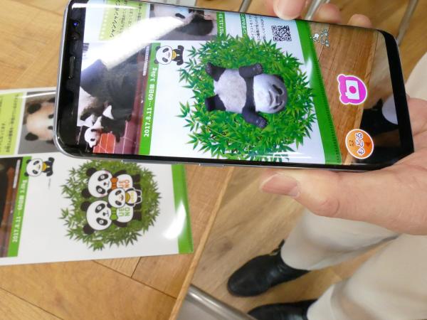 写真：クリアホルダーに印刷された「うえのパンダくん家族」のマークにスマートホンをかざすと、シャンシャンの立体CG画像が画面に表示される