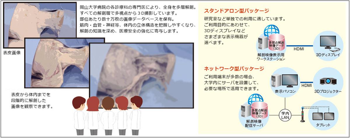 多視点3D解剖教育システム「MeAV Anatomie 3D」