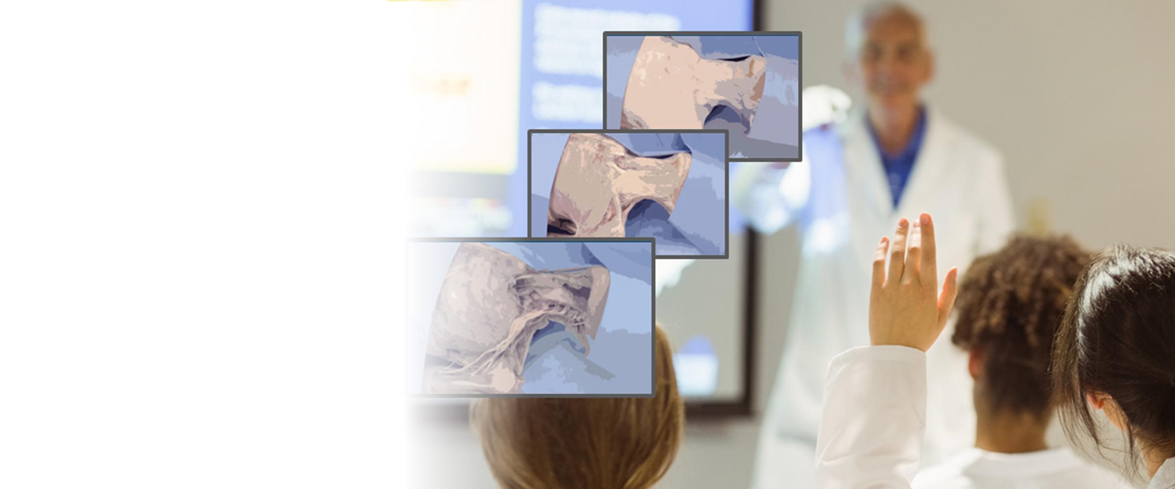 多視点3D解剖教育システム