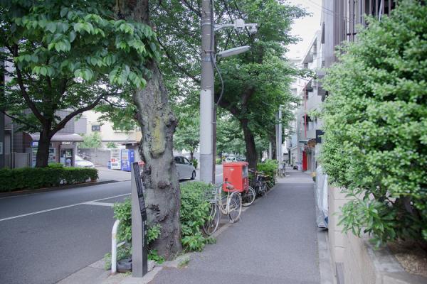 写真：通学路の交差点付近に設置された屋外対応型全方位カメラ