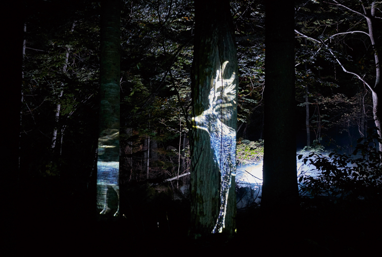写真：木々に映し出された鹿の映像。