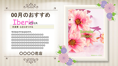 00月のおすすめ