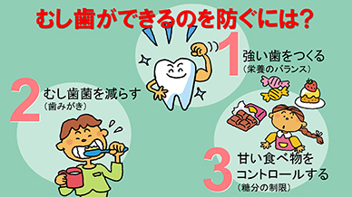 歯科 歯磨き啓蒙