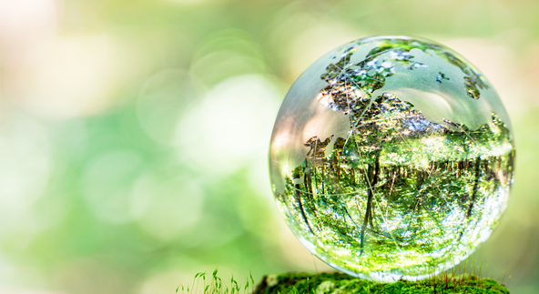 環境負荷の低減