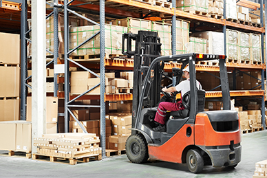 CYTIS Insight for Cargo