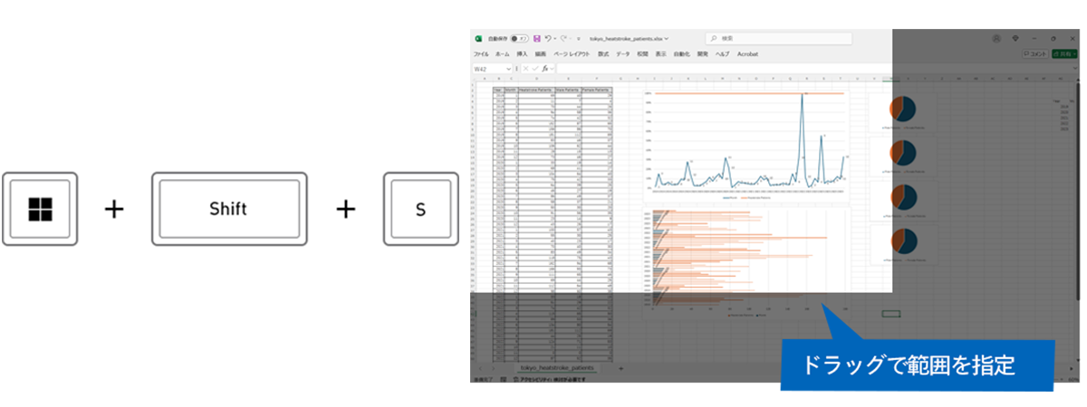 画面範囲を指定してコピー（キャプチャー）する
