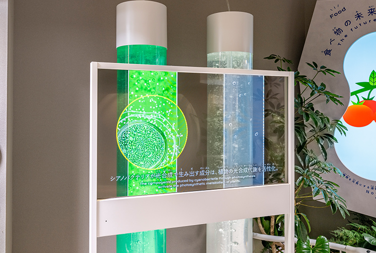 写真:背景が透過する透明有機EL(OLED)ディスプレイ