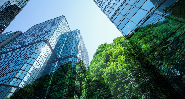 Urban buildings and park greenery