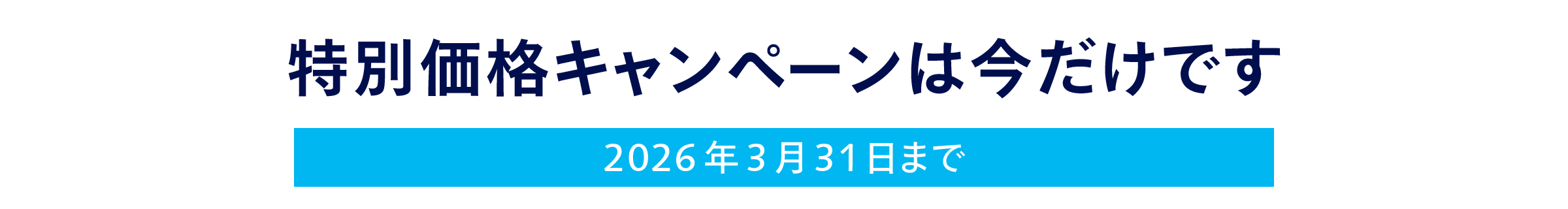 特別キャンペーンは今だけです