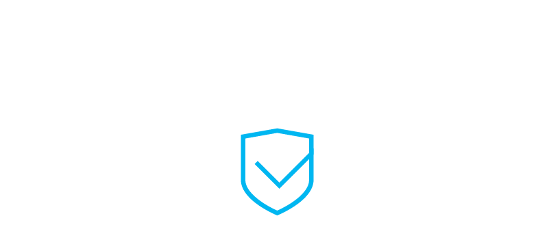 Insurance icon