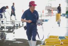 写真：魚市場の職員が荷受けした魚の選別・計量を行っている様子。腰に付けたモバイルプリンターからは生産者に渡す受領書を発行する。
